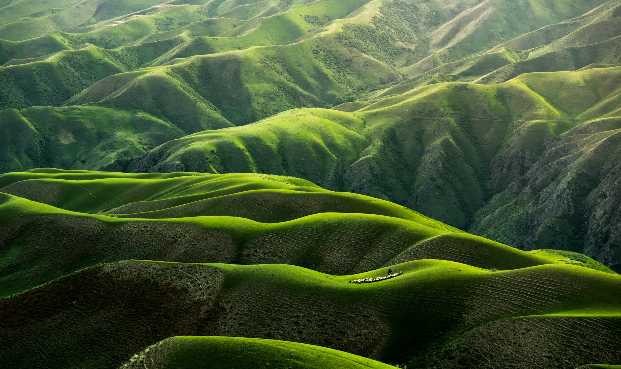 Sunlit vivid rolling green hills under clear daylight
